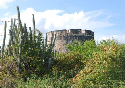 Fort Beekenburg achter de tropische begroeiing