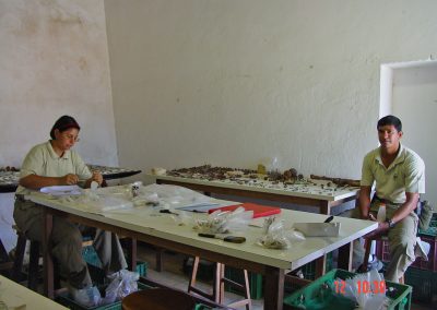 Nora and Ubiritan cataloguing